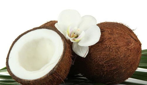 常吃這幾種食物,對腸道好,能保護(hù)消化健康